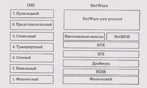 Соотношение уровней модели OSI и протоколов операционной системы NetWare 